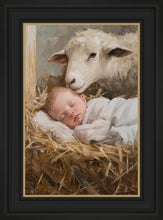 Load image into Gallery viewer, Humble Beginnings
