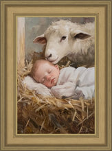 Load image into Gallery viewer, Humble Beginnings
