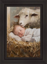 Load image into Gallery viewer, Humble Beginnings
