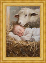 Load image into Gallery viewer, Humble Beginnings
