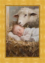 Load image into Gallery viewer, Humble Beginnings

