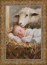Load image into Gallery viewer, Humble Beginnings

