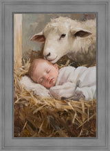 Load image into Gallery viewer, Humble Beginnings
