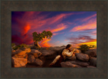 Load image into Gallery viewer, Sacred Prayer
