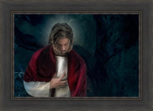 Load image into Gallery viewer, Abba
