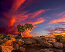 Load image into Gallery viewer, Moab Morning
