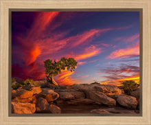 Load image into Gallery viewer, Moab Morning
