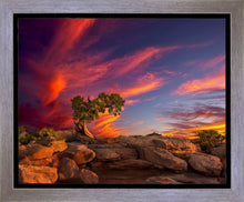 Load image into Gallery viewer, Moab Morning
