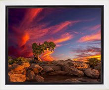Load image into Gallery viewer, Moab Morning
