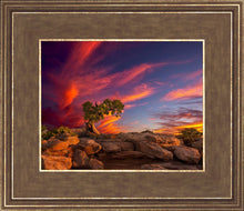 Load image into Gallery viewer, Moab Morning
