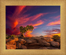Load image into Gallery viewer, Moab Morning
