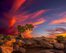 Load image into Gallery viewer, Moab Morning
