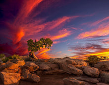 Load image into Gallery viewer, Moab Morning
