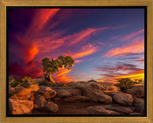 Load image into Gallery viewer, Moab Morning

