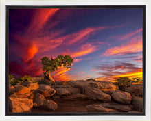 Load image into Gallery viewer, Moab Morning
