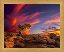 Load image into Gallery viewer, Moab Morning
