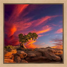 Load image into Gallery viewer, Moab Morning
