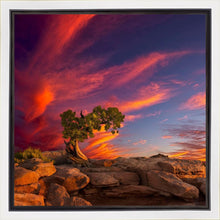 Load image into Gallery viewer, Moab Morning
