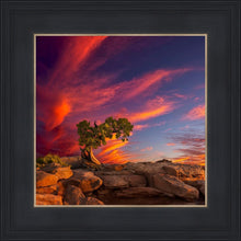 Load image into Gallery viewer, Moab Morning
