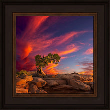 Load image into Gallery viewer, Moab Morning

