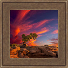 Load image into Gallery viewer, Moab Morning
