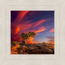Load image into Gallery viewer, Moab Morning

