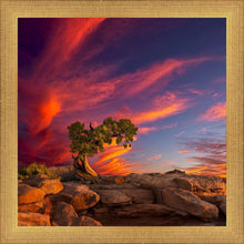 Load image into Gallery viewer, Moab Morning
