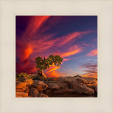Load image into Gallery viewer, Moab Morning
