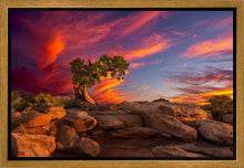 Load image into Gallery viewer, Moab Morning
