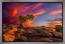 Load image into Gallery viewer, Moab Morning
