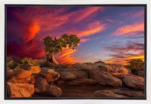 Load image into Gallery viewer, Moab Morning
