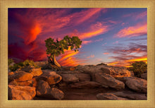 Load image into Gallery viewer, Moab Morning
