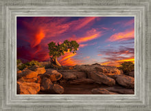 Load image into Gallery viewer, Moab Morning
