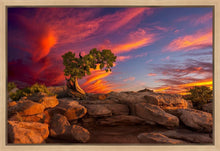 Load image into Gallery viewer, Moab Morning
