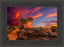 Load image into Gallery viewer, Moab Morning
