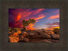 Load image into Gallery viewer, Moab Morning
