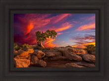 Load image into Gallery viewer, Moab Morning
