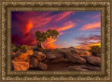 Load image into Gallery viewer, Moab Morning
