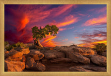 Load image into Gallery viewer, Moab Morning
