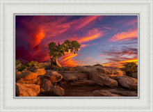 Load image into Gallery viewer, Moab Morning

