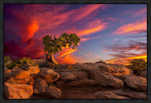 Load image into Gallery viewer, Moab Morning
