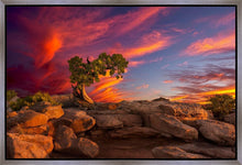 Load image into Gallery viewer, Moab Morning
