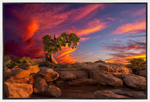 Load image into Gallery viewer, Moab Morning
