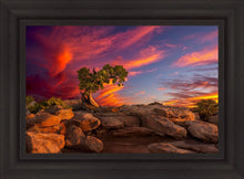 Load image into Gallery viewer, Moab Morning
