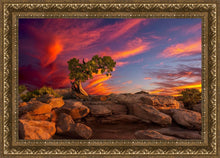 Load image into Gallery viewer, Moab Morning
