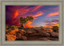Load image into Gallery viewer, Moab Morning
