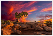 Load image into Gallery viewer, Moab Morning

