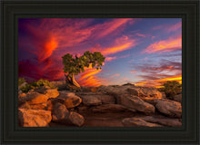 Load image into Gallery viewer, Moab Morning
