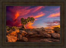 Load image into Gallery viewer, Moab Morning
