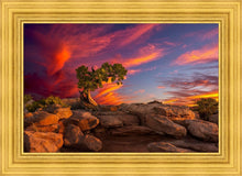 Load image into Gallery viewer, Moab Morning
